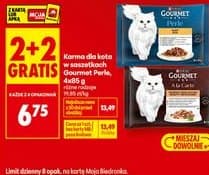 karma dla kota w saszetkach różne marki