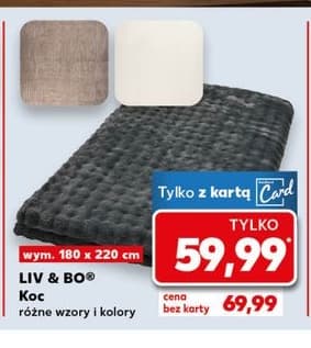 koc różne wzory i kolory