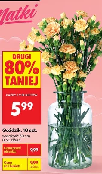goździk