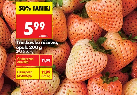 truskawka różowa
