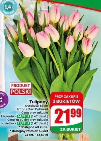tulipany