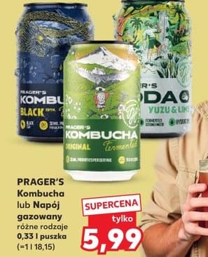 kombucha