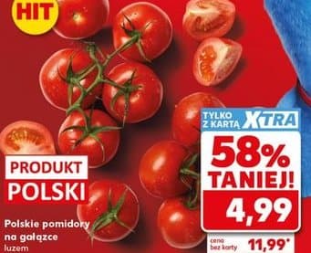 polskie pomidory na gałązce