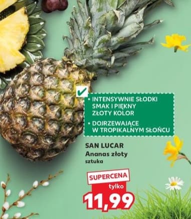 ananas XL