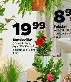 sundevilla
