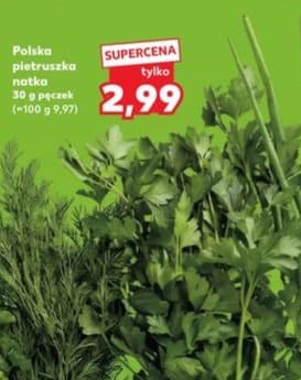 pietruszka natka pęczek