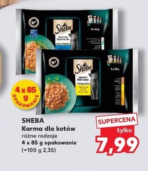 karma dla kotów różne rodzaje