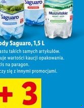 Wszystkie wody Saguaro