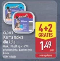 karma mokra dla kota