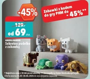 sekretne pudełko z zabawką
