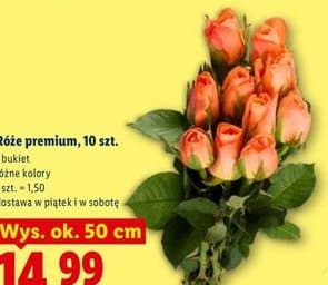 róże premium