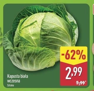 kapusta biała wczesna