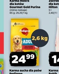 karma sucha dla psów