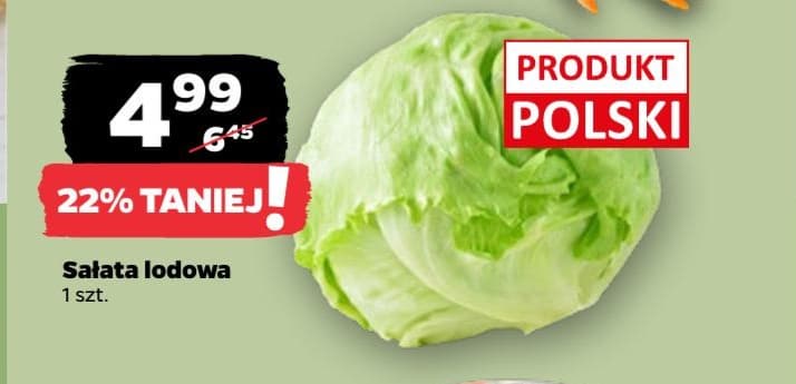 sałata lodowa