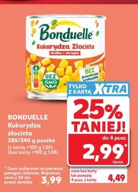 kukurydza złocista