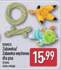 zabawka węchowa dla psa