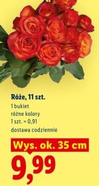 róże