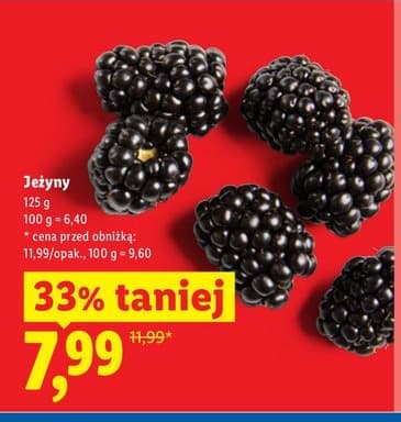 jeżyna