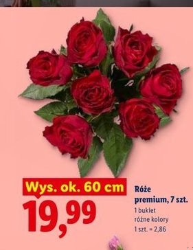 róże premium