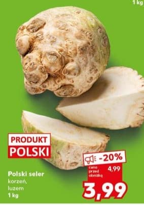 seler korzeń