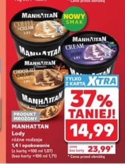 lody różne rodzaje