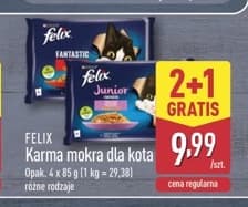 karma mokra dla kota