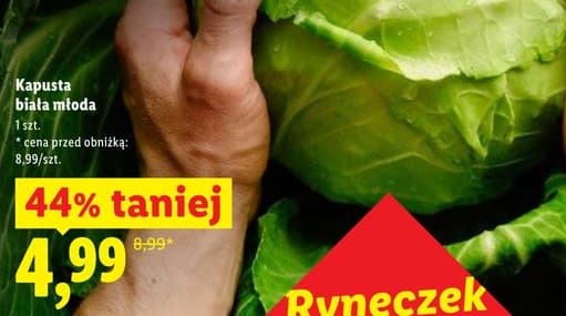 kapusta biała młoda