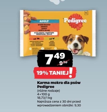 karma mokra dla psów różne rodzaje