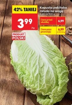kapusta pekińska młoda