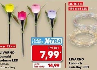 lampki solarne LED tulipan