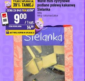 wafle mini cytrynowe podlane polewą kakaową
