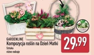 kompozycja roślin na Dzień Matki