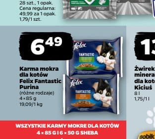 karma mokra dla kotów