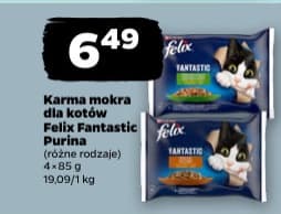 karma mokra dla kotów