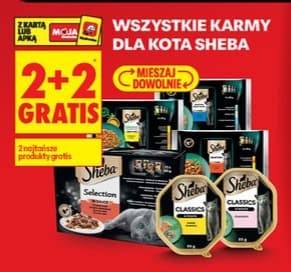 wszystkie karmy dla kota