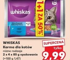 mokra karma dla kotów różne rodzaje