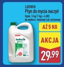 płyn do mycia naczyń