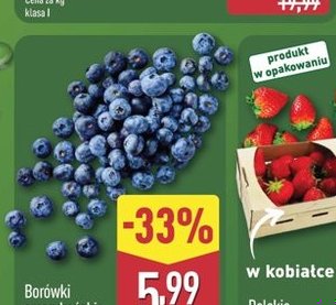 Borówki amerykańskie