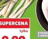 szparagi zielone białe