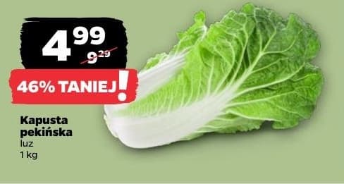 kapusta pekińska