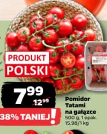 pomidor Tatami na gałązce