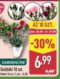 goździki
