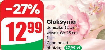 gloksynia