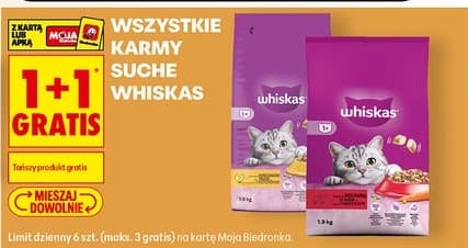 wszystkie karmy suche