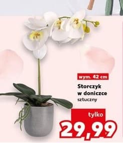 storczyk sztuczny w doniczce 42 cm