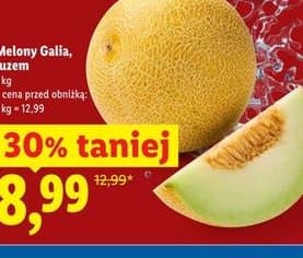 melon galia