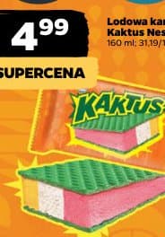 lodowa kanapka Kaktus