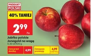 jabłko polskie Jonagold