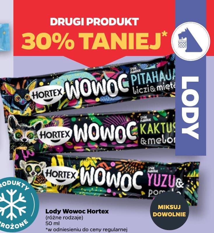 lody różne rodzaje