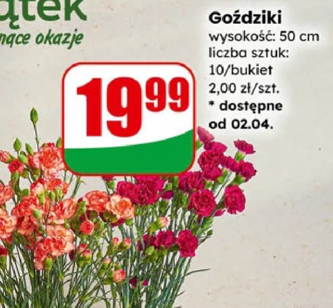goździki